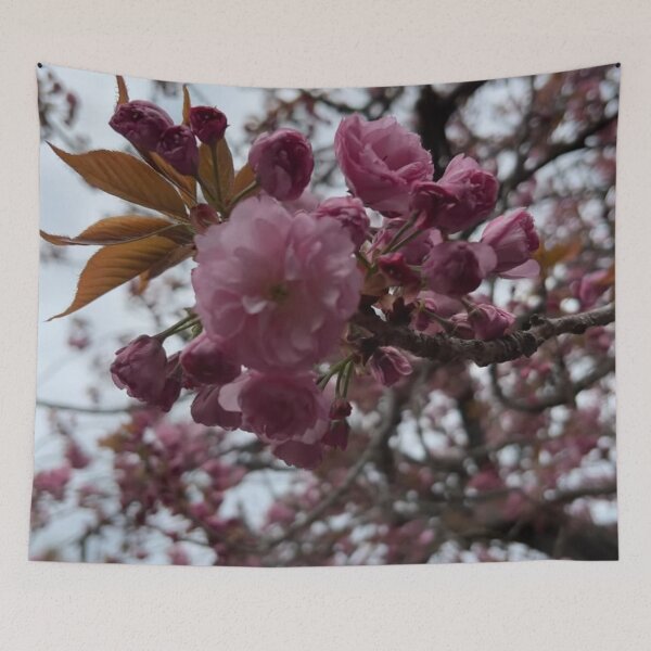 Item preview, Cherry Esplanade during spring in Brooklyn designed and sold by NYConlineStore.