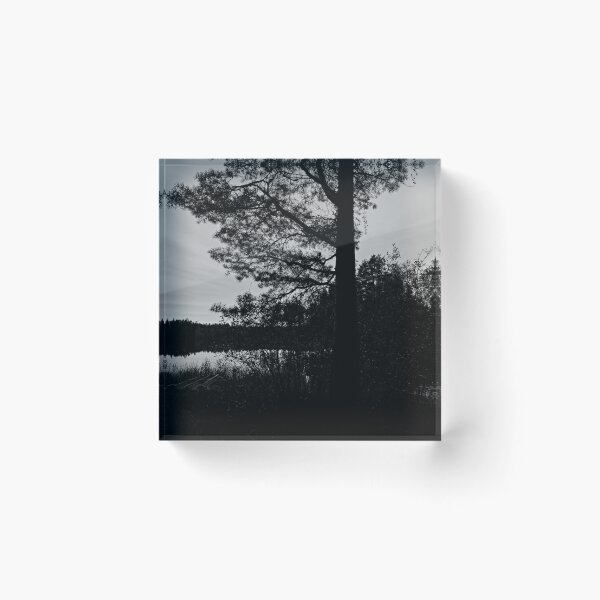 Item preview, The Pine and the lake. Parkkuu 2025 bw designed and sold by Jouko Lehto Photography.