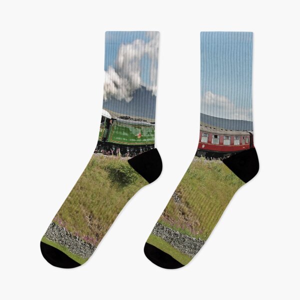 Item preview, Flying Scotsman And Pen-y-Ghent - 2 designed and sold by Colin  Williams Photography.