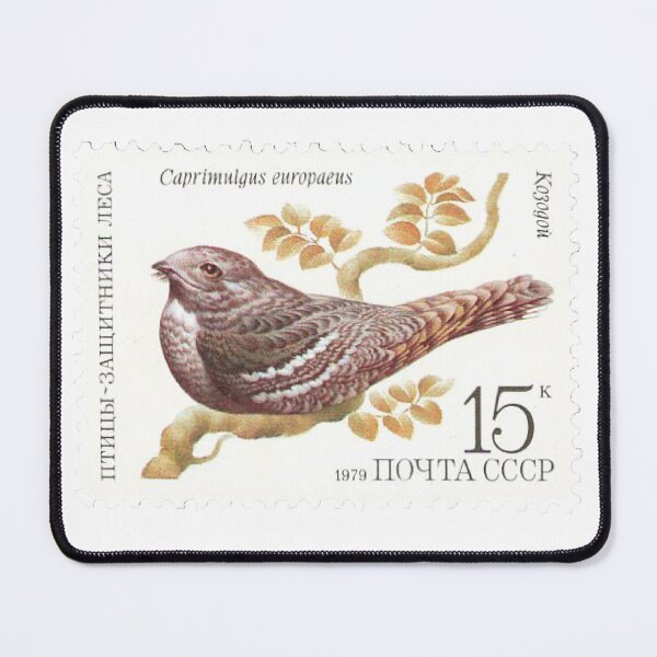 Item preview, CCCP European Nightjar Bird Vintage Postage Stamp designed and sold by red-amber65.