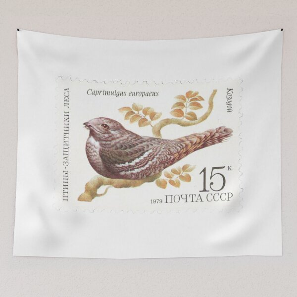 Item preview, CCCP European Nightjar Bird Vintage Postage Stamp designed and sold by red-amber65.