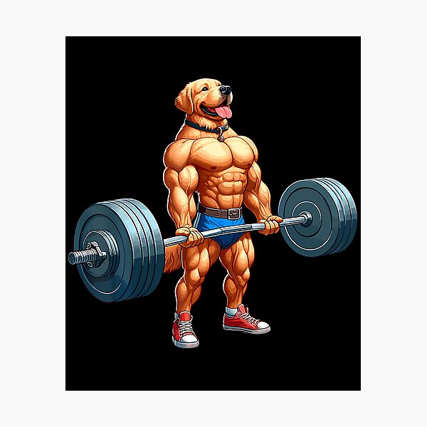 Item preview, Muscle Labrador Dog Deadlifting Gym Weightlifting Workout designed and sold by AngelaSandra.