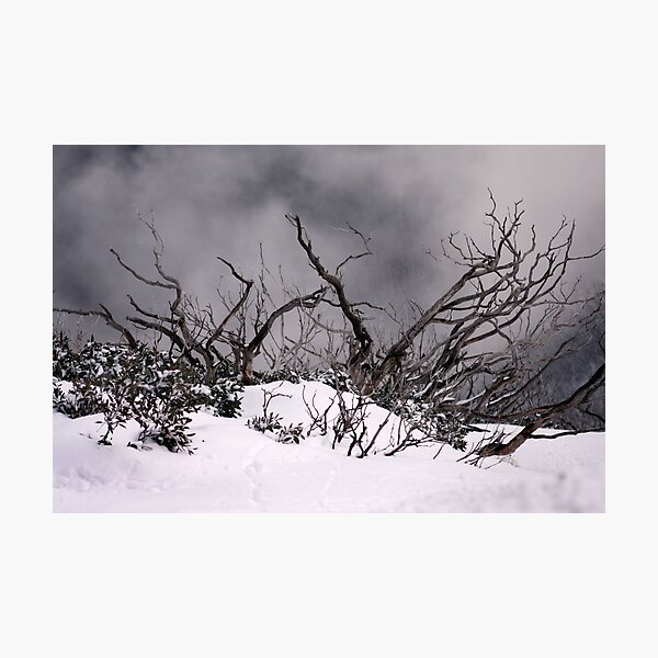 Mount Hotham Photographic Print