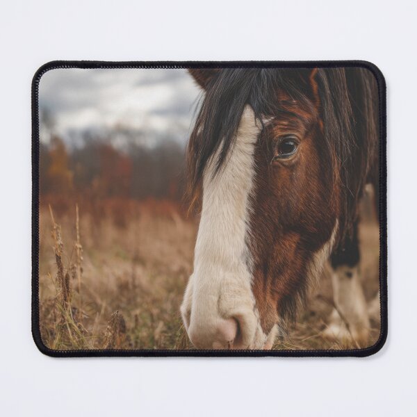 Item preview, Horse grazing in a grassy field designed and sold by anytka.