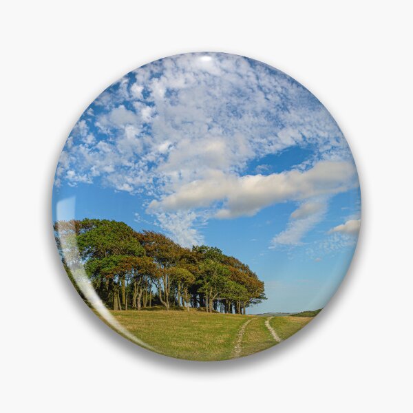 Item preview, Late Summer on Chanctonbury Ring Hill Fort. designed and sold by HazyApplePhoto.