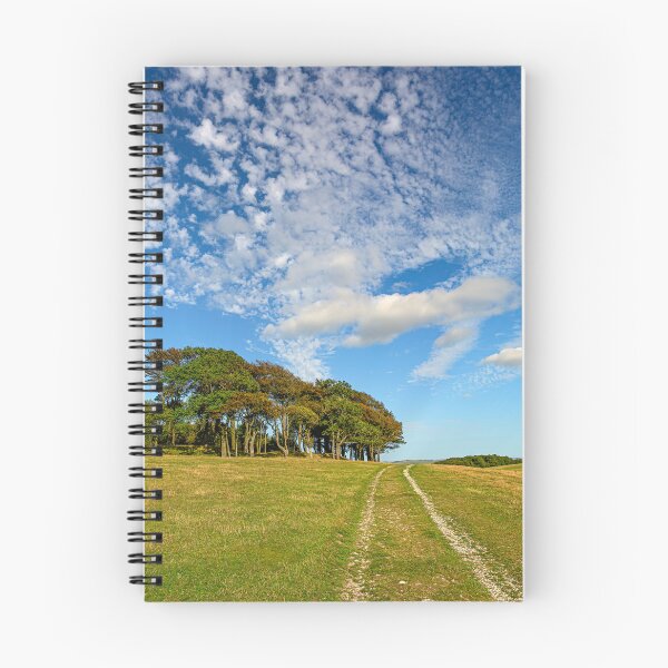Item preview, Late Summer on Chanctonbury Ring Hill Fort. designed and sold by HazyApplePhoto.