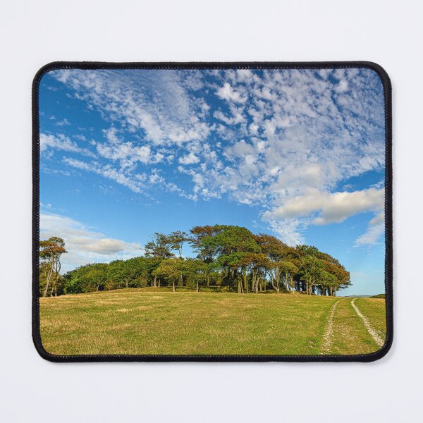 Item preview, Late Summer on Chanctonbury Ring Hill Fort. designed and sold by HazyApplePhoto.