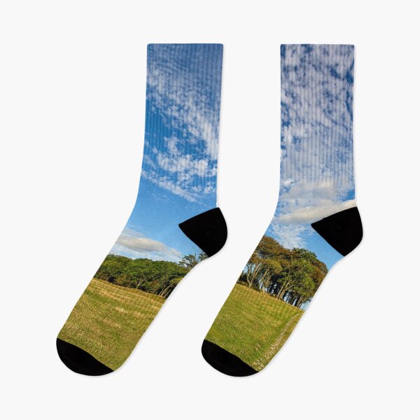 Item preview, Late Summer on Chanctonbury Ring Hill Fort. designed and sold by HazyApplePhoto.