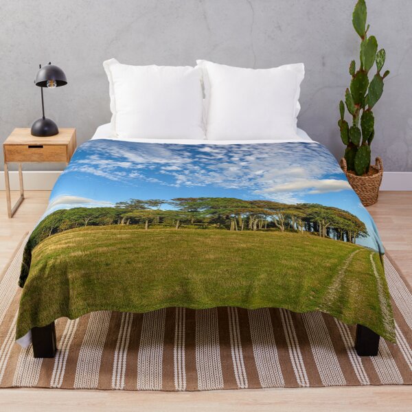 Item preview, Late Summer on Chanctonbury Ring Hill Fort. designed and sold by HazyApplePhoto.