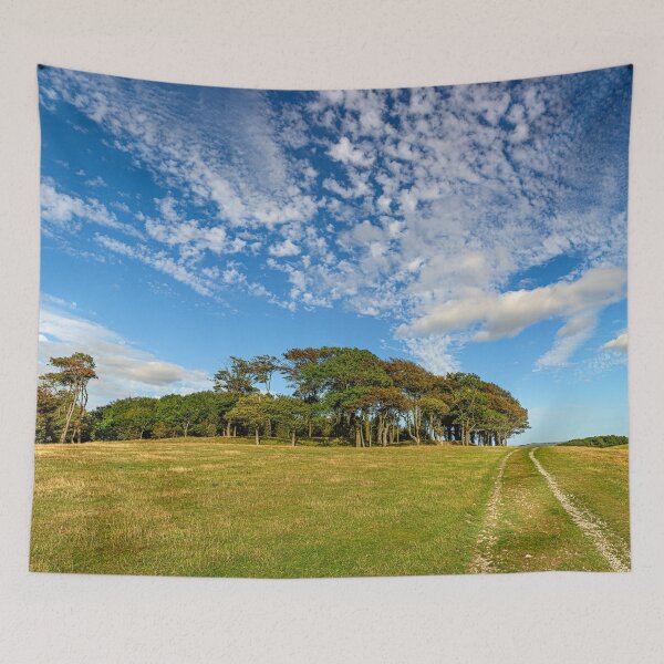 Item preview, Late Summer on Chanctonbury Ring Hill Fort. designed and sold by HazyApplePhoto.