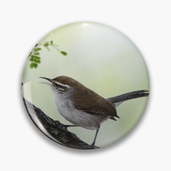 Item preview, Wren Singing Its Song designed and sold by Debra Martz.