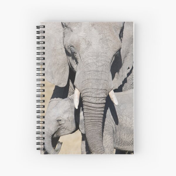 Mother Elephant With Baby Under Trunk Spiral Notebook
