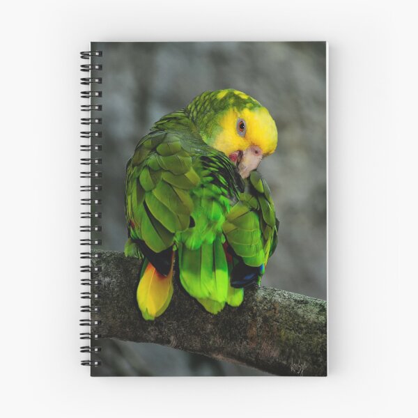 Item preview, Yellow Headed Amazon designed and sold by Lois  Bryan.