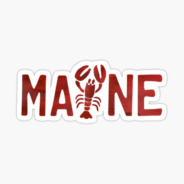 Our favorite local shops in Portland Maine 2023 edition  Box Of Maine