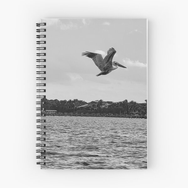 Item preview, Pelican in flight designed and sold by Jmb67.
