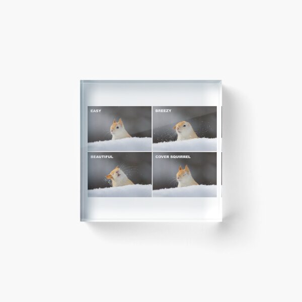 Item preview, Easy, Breezy, Beautiful, Cover Squirrel designed and sold by James Cumming.