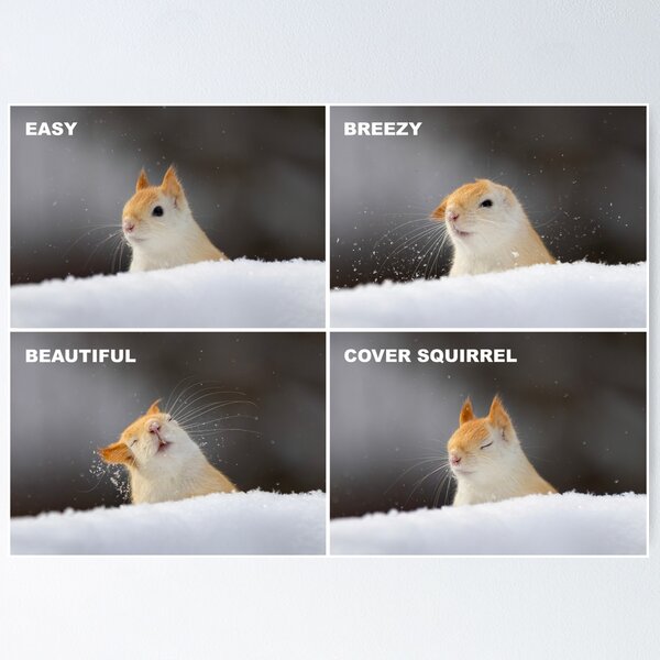 Item preview, Easy, Breezy, Beautiful, Cover Squirrel designed and sold by James Cumming.