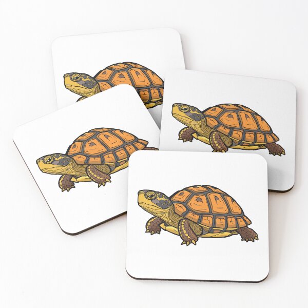 Item preview, Box Turtle designed and sold by Petzzz.