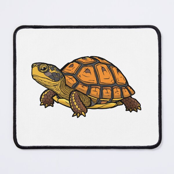 Item preview, Box Turtle designed and sold by Petzzz.