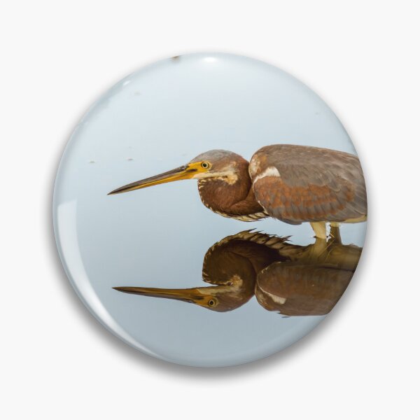 Item preview, Tricolored Heron and its Reflection designed and sold by Debra Martz.