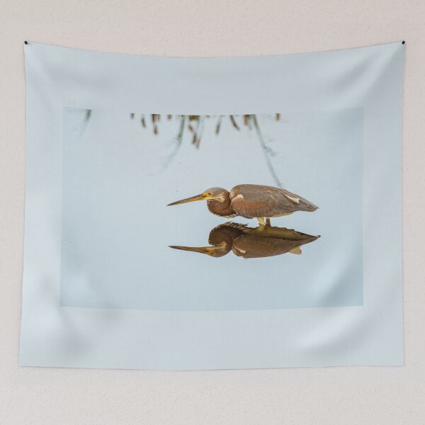 Item preview, Tricolored Heron and its Reflection designed and sold by Debra Martz.