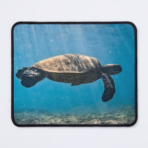 Item preview, Ascending Turtle- Marine Wildlife Photo designed and sold by Salty Colors Studio.