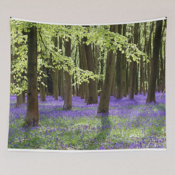 Aperçu de l'œuvre Forêt de jacinthes des bois de Cotswold créée et vendue par Susan Snow Photography and Design.