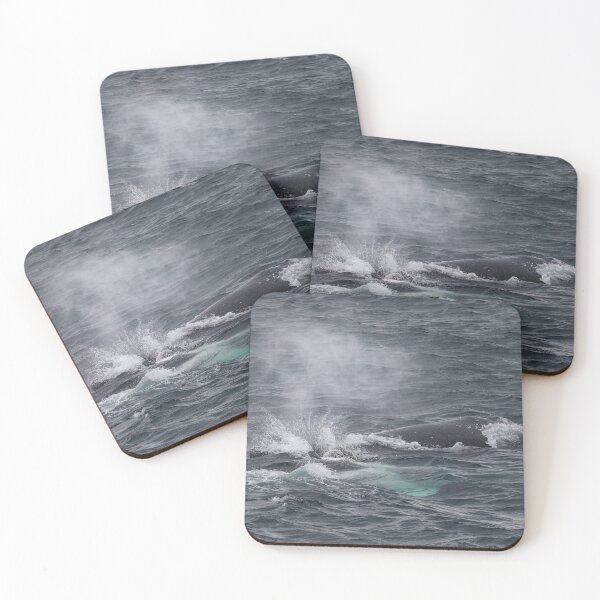 Item preview,  "There she Blows" Humpback Whale blowing Tasman Sea  designed and sold by Ospreychild.