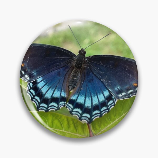 Item preview, Red Spotted Admiral Butterfly designed and sold by Savage Arts.