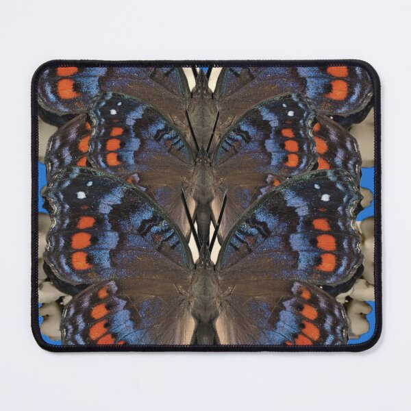 Item preview, Blue Snow Mutant Papillion Butterfly Digital Collage designed and sold by Licorice Moon.