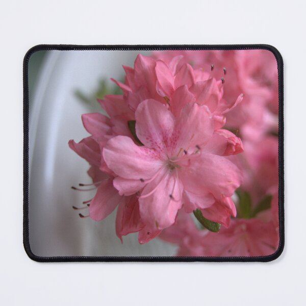 Item preview, Delicate Azalea Petals in Pink designed and sold by vanessaNotes.
