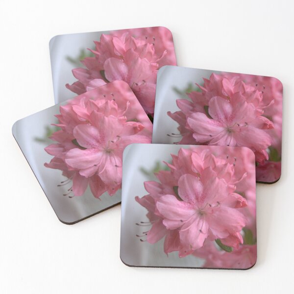 Item preview, Delicate Azalea Petals in Pink designed and sold by vanessaNotes.
