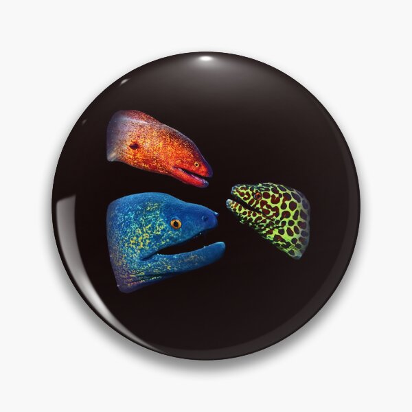 Item preview, Moray Eel Retro Graphic, Vintage Ocean Moon, Colorful Sea Life, Funny Sea Creature Top, Unique Diver Gift designed and sold by DesignDenDo ⭐⭐⭐⭐⭐.