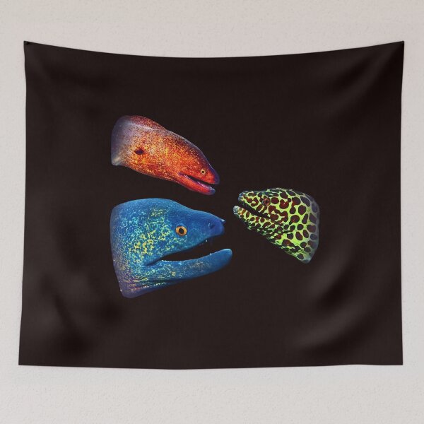 Item preview, Moray Eel Retro Graphic, Vintage Ocean Moon, Colorful Sea Life, Funny Sea Creature Top, Unique Diver Gift designed and sold by DesignDenDo ⭐⭐⭐⭐⭐.