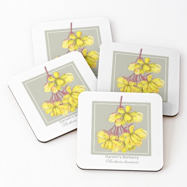 Item preview, Darwin's Barberry (Berberis darwinii) designed and sold by Art_By_Wing.