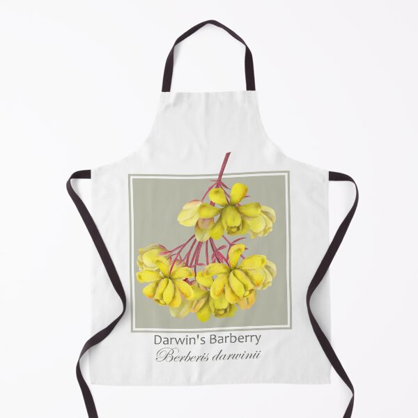 Item preview, Darwin's Barberry (Berberis darwinii) designed and sold by Art_By_Wing.