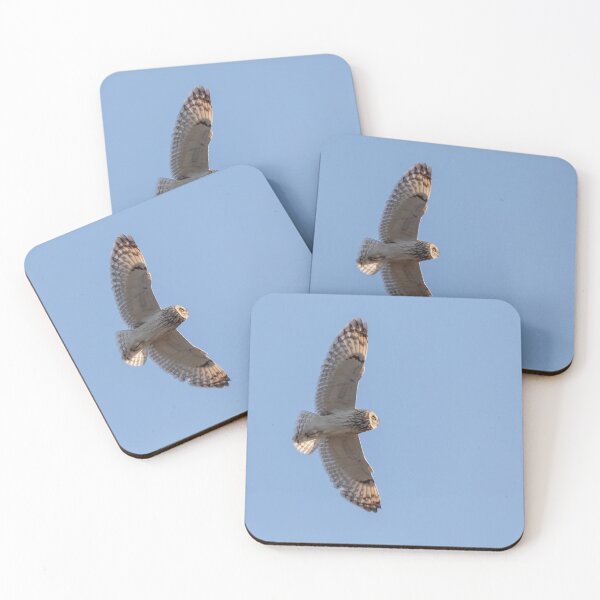 Item preview, Short Eared Owl Hunting over Marshland  designed and sold by Ospreychild.