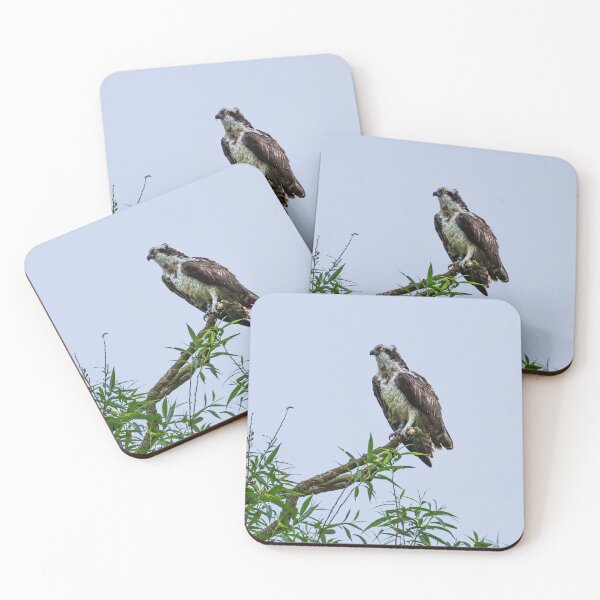 Item preview, Osprey waiting and watching the lake below  designed and sold by Ospreychild.