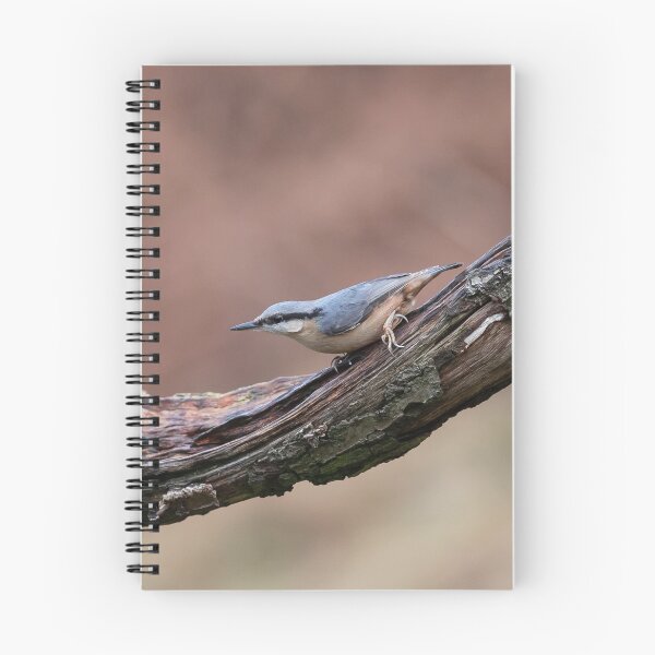 Item preview, Nuthatch on branch  designed and sold by Ospreychild.