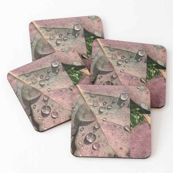 Item preview, Rain Jewels on Fallen Leaf designed and sold by TrisaThyme.