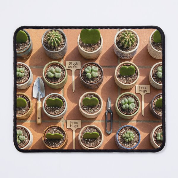 Item preview, Stuck On You - Heart Cactus & Succulent Knolling designed and sold by SavinMercantile.