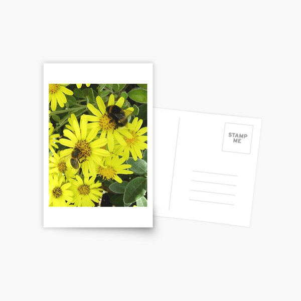 honey & bumble Postcard