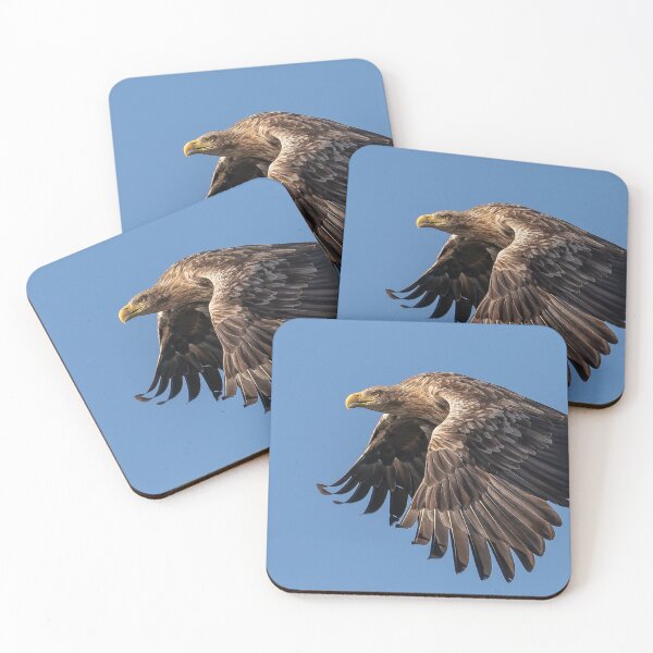 Item preview, White Tailed Eagle Loch Na Keal Isle of Mull Scotland  designed and sold by Ospreychild.