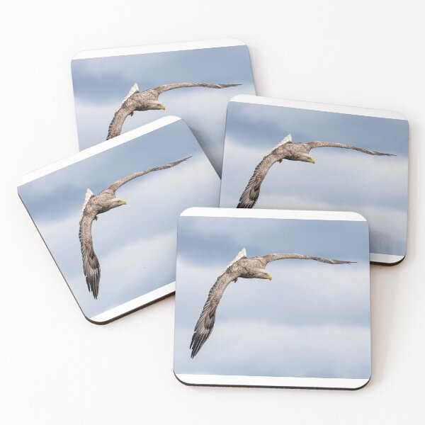 Item preview, White Tailed Eagle Loch Na Keal Isle of Mull Scotland  designed and sold by Ospreychild.