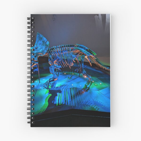 Item preview, Majestic Triceratops Skeleton on Display  Dinosaur Museum Exhibit designed and sold by Photogenic Snap.