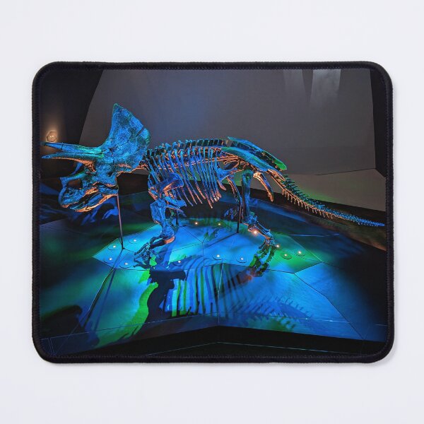 Item preview, Majestic Triceratops Skeleton on Display  Dinosaur Museum Exhibit designed and sold by Photogenic Snap.