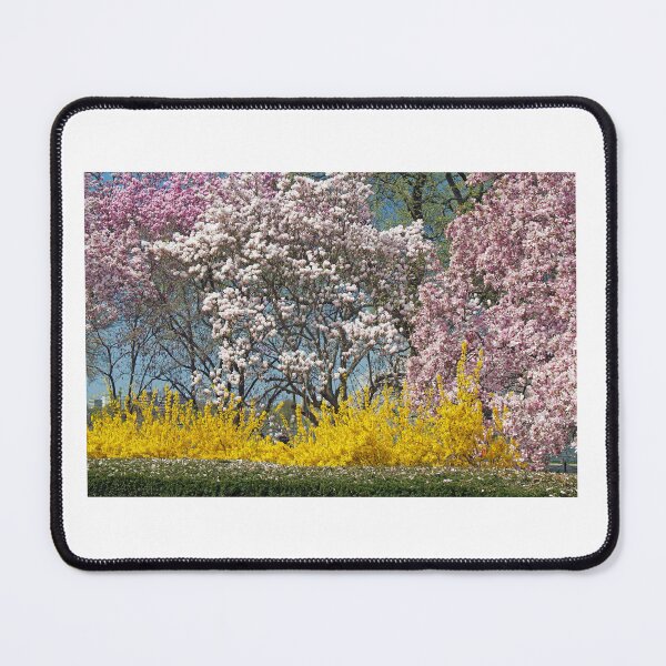 Item preview, SPRING! designed and sold by Gardenographer.