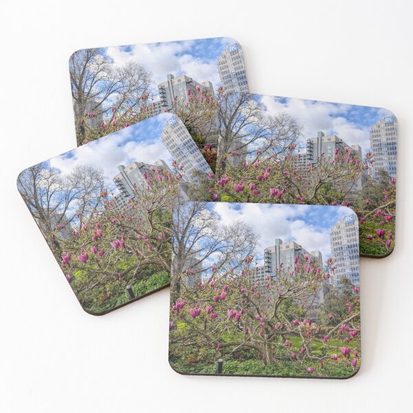 Item preview, Urban Serenity: Magnolia Blooms in Melbourne’s Flagstaff Garden designed and sold by Photogenic Snap.