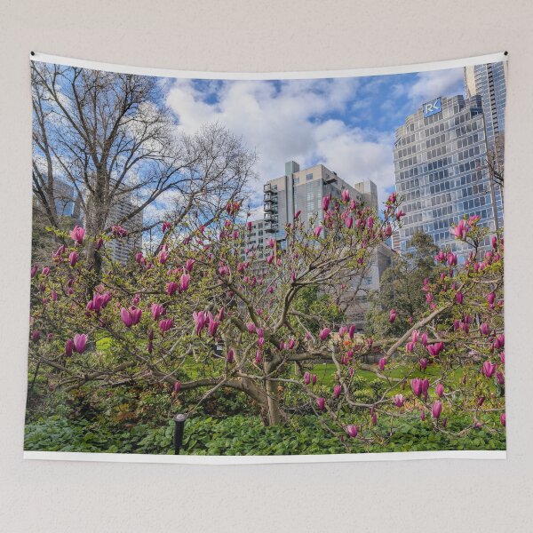 Item preview, Urban Serenity: Magnolia Blooms in Melbourne’s Flagstaff Garden designed and sold by Photogenic Snap.