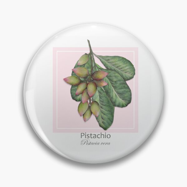 Item preview, Pistachio (Pistacia vera) designed and sold by Art_By_Wing.
